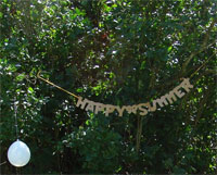 banner